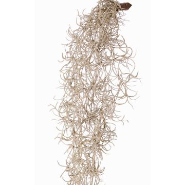 Artificial Tillandsia usneoides LIVADI on a stick, grey, 4ft/115cm Artificial Tillandsia usneoides LIVADI on a stick, grey, 4ft/115cm
