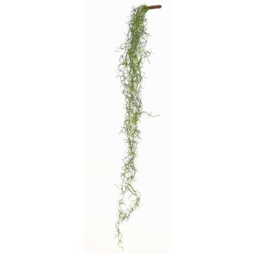 Artificial Tillandsia usneoides LIVADI on a stick, green, 4ft/115cm Artificial Tillandsia usneoides LIVADI on a stick, green, 4ft/115cm