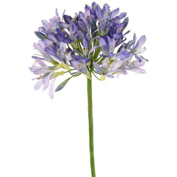 Artificial Agapanthus flower KAFENA, blue-purple, 90 cm, Ø20 cm