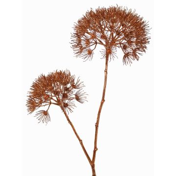 Artificial hogweed branch OTRIS, copper, 37"/95cm, Ø5.9"-8"/15-20cm Artificial hogweed branch OTRIS, copper, 37"/95cm, Ø5.9"-8"/15-20cm
