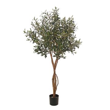 Artificial olive tree GÖTZIS, fruit, real trunks, 5ft/165cm Artificial olive tree GÖTZIS, fruit, real trunks, 5ft/165cm
