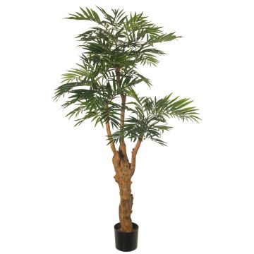 Artificial mountain palm QUOKKA, artificial trunk, 5ft/160cm