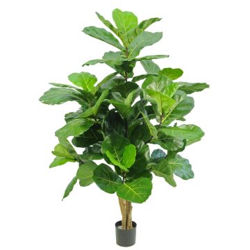 Artificial Ficus Lyrata APOKO, real trunks, green, 6ft/170cm Artificial Ficus Lyrata APOKO, real trunks, green, 6ft/170cm