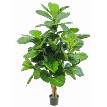 Artificial Ficus Lyrata APOKO, real trunks, green, 6ft/170cm Artificial Ficus Lyrata APOKO, real trunks, green, 6ft/170cm