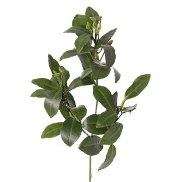 Artificial mangrove branch USTERA, buds, flame-retardant, green, 60cm