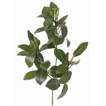 Artificial mangrove branch USTERA, buds, flame-retardant, green, 24"/60cm