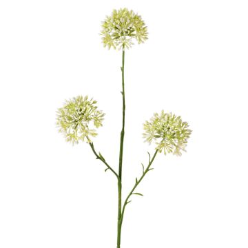Decorative Allium branch ALIKIO, white, 65cm, Ø7cm