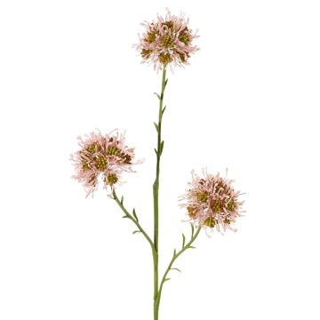 Artificial Allium branch ZEBU, pink, 26"/65cm, Ø2.8"/7cm