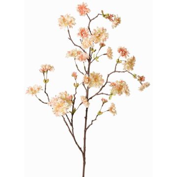 Artificial branch ornamental peach KENZUN, blossoms, peach-pink, 4ft/110cm, Ø0.8"-2.4"/2-6cm Artificial branch ornamental peach KENZUN, blossoms, peach-pink, 4ft/110cm, Ø0.8"-2.4"/2-6cm