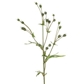 Artificial flax branch KALENO with buds, green, 70cm