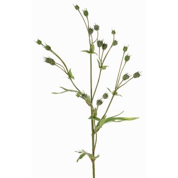 Artificial flax branch KALENO with buds, green, 28"/70cm