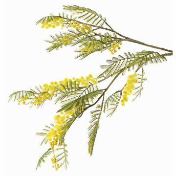 Decorative mimosa branch BRANAU with flowers, yellow, 31"/80cm, Ø0.2"/0.5cm Decorative mimosa branch BRANAU with flowers, yellow, 31"/80cm, Ø0.2"/0.5cm