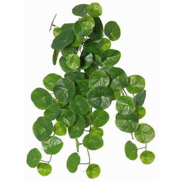 Stephania erecta artificial plant ANOGIA on a support stick, green, 20"/50cm