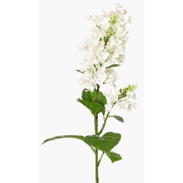 Decorative lilac branch ADMIR, white, 31"/80cm, Ø2.4"-3.5"/6-9cm