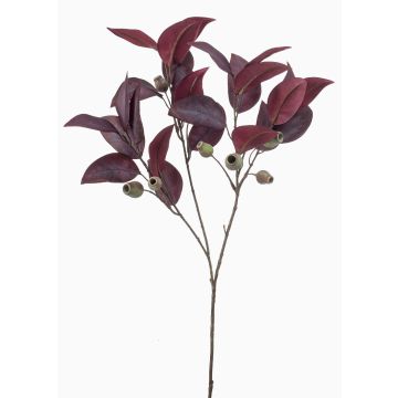 Decorative branch Eucalyptus VIZIMIR with fruits, burgundy red, 31"/80cm