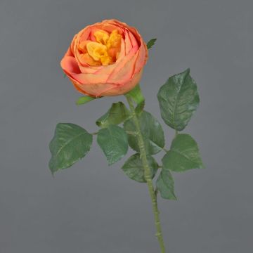 False cabbage rose VANNI, orange, 24"/60cm