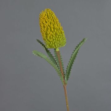Artificial Banksia robur EREDIN, yellow, 28"/70cm