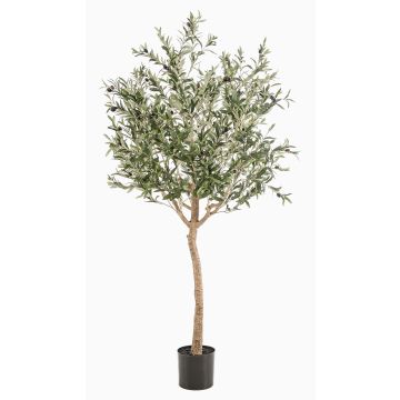 Decorative olive tree DRAX, artificial trunk, fruits, green, 6ft/180cm