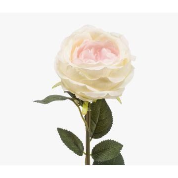 False rose THYRI, cream-pink, 26"/65cm