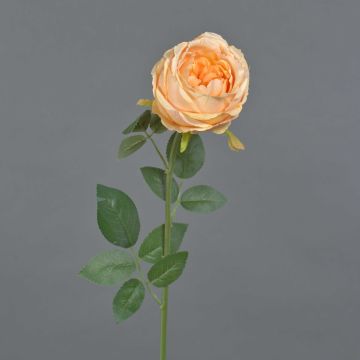 False rose THYRI, peach, 26"/65cm