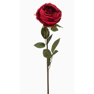 False rose THYRI, red, 26"/65cm False rose THYRI, red, 26"/65cm