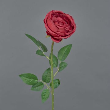 False rose THYRI, red, 26"/65cm