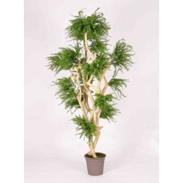 Artificial tree Abelia DIMYTRO with natural stems, crossdoor, green, 6ft/185cm - Made in Italy