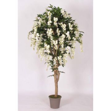 False wisteria ERLINA, real stem, with flowers, white, 6ft/175cm - Made in Italy