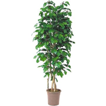 Artificial oak MIREEN, natural stems, with fruits, green, crossdoor, 4ft/125cm - Made in Italy Artificial oak MIREEN, natural stems, with fruits, green, crossdoor, 4ft/125cm - Made in Italy