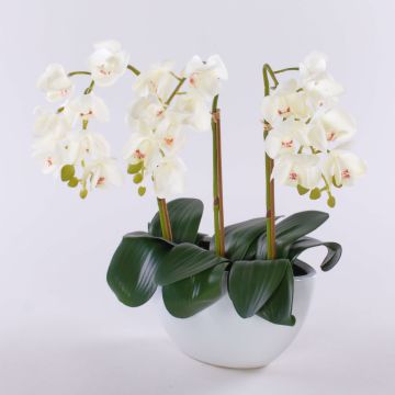 Artificial Phalaenopsis orchid JASMIN in ceramic bowl, white, 16"/40cm Artificial Phalaenopsis orchid JASMIN in ceramic bowl, white, 16"/40cm