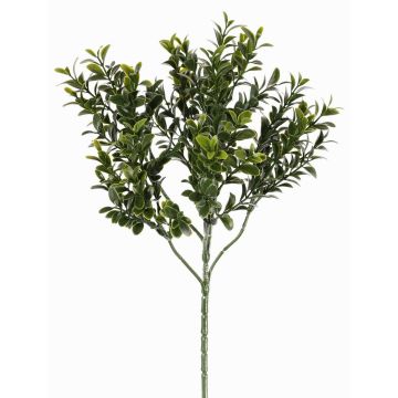 Artificial Boxwood Branch TOM, crossdoor, 18"/45cm Artificial Boxwood Branch TOM, crossdoor, 18"/45cm
