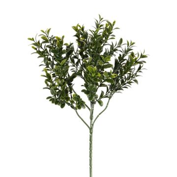 Artificial Boxwood Branch TOM, crossdoor, 45cm Artificial Boxwood Branch TOM, crossdoor, 45cm