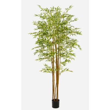 Artificial Japanese arrow bamboo tree BAKNOR, natural trunks, 7ft/210cm