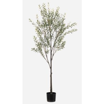 Artificial olive tree LONIRB with fruit, artificial trunk, crossdoor, 6ft/175cm Artificial olive tree LONIRB with fruit, artificial trunk, crossdoor, 6ft/175cm
