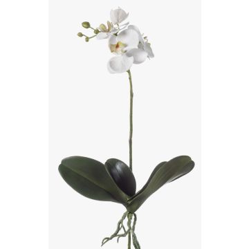 Artificial Phalaenopsis orchid FAO on spike, white, 18"/45cm