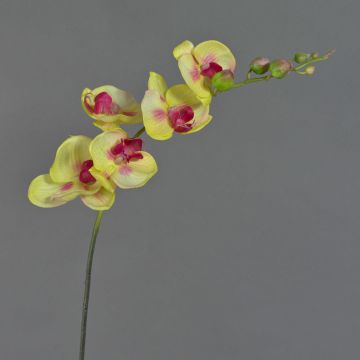 Fake sprig of orchid DAJANA, yellow-pink, 3ft/90cm, Ø2.4"-4.3"/6-11cm Fake sprig of orchid DAJANA, yellow-pink, 3ft/90cm, Ø2.4"-4.3"/6-11cm