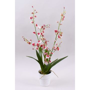 Artificial orchid Oncidium YOSEPHIN in clay pot, white-red, 28"/70cm Artificial orchid Oncidium YOSEPHIN in clay pot, white-red, 28"/70cm