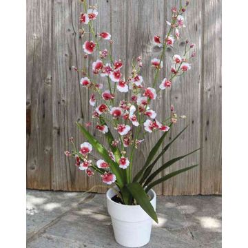 Artificial orchid Oncidium YOSEPHIN in clay pot, white-red, 28"/70cm Artificial orchid Oncidium YOSEPHIN in clay pot, white-red, 28"/70cm