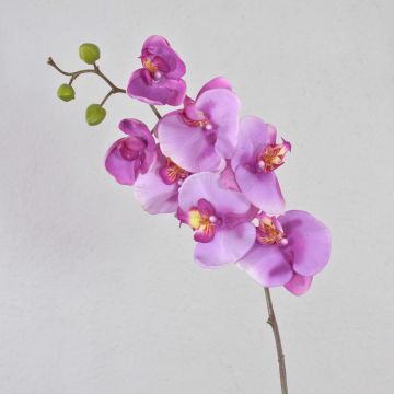 Artificial Phalaenopsis orchid spray RICKY, light pink, 3ft/105cm