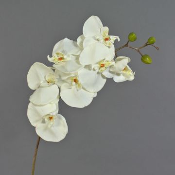 Artificial Phalaenopsis orchid spray RICKY, white, 3ft/105cm