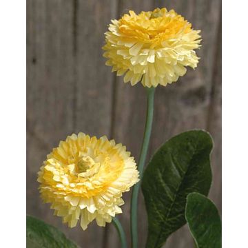 Artificial daisies FENIA, yellow, 10"/25cm Artificial daisies FENIA, yellow, 10"/25cm
