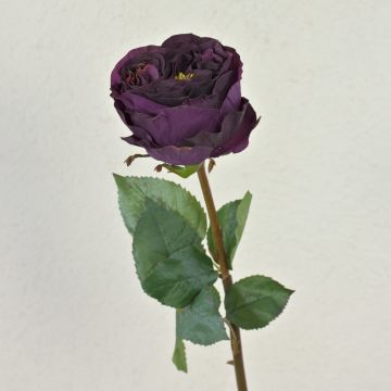 Artificial cabbage rose TAYNARA, dark purple, 20"/50cm, Ø3.5"/9cm