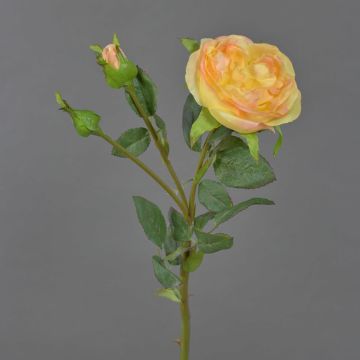 Artificial Cabbage Rose OLIVERA, yellow-apricot, 12"/30cm, Ø3.5"/9cm