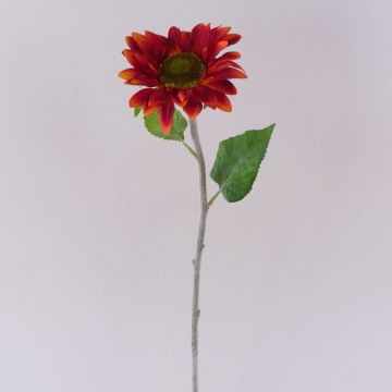 False sunflower MARIETTA, red, 24"/60cm, Ø5.5"/14cm