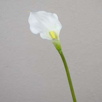 Silk calla PEPITA, white, 22"/55cm, Ø2.8"x4.3"/7x11cm