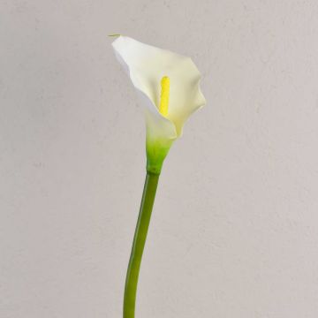 Silk calla SUSANA, white, 28"/70cm, 3.1"x4.7"/8x12cm