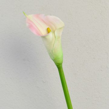Artificial calla lily TALEA, white-light pink, 26"/65cm, 3.5"x4.3"/9x11cm Artificial calla lily TALEA, white-light pink, 26"/65cm, 3.5"x4.3"/9x11cm