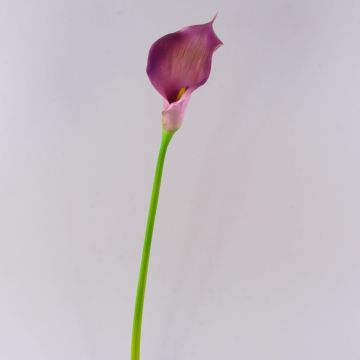 Silk calla TERESA, violet, 28"/70cm, 4"x7"/10x18cm