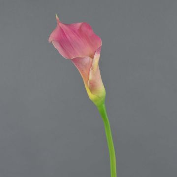 Silk calla TERESA, pink-yellow, 28"/70cm, 4"x7"/10x18cm Silk calla TERESA, pink-yellow, 28"/70cm, 4"x7"/10x18cm