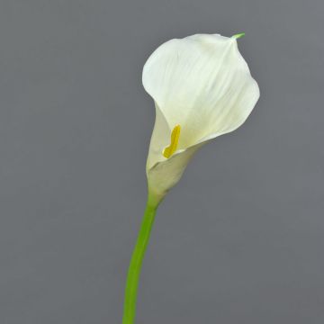 Silk calla TERESA, cream, 28"/70cm, 4"x7"/10x18cm Silk calla TERESA, cream, 28"/70cm, 4"x7"/10x18cm